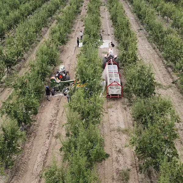 La Pascua - producción